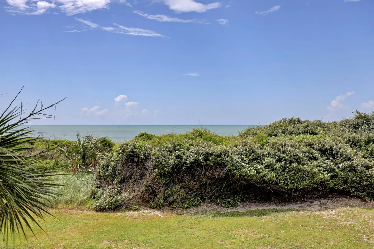A wide scenic view of the beach with the ocean stretching into the horizon, lush vegetation in the foreground, and an expansive sky. The peaceful mood matches the idea of quiet walks and sunrise vistas along North Topsail Beach.